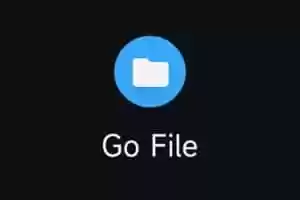 Go File:基于 Go 的文件分享工具 开箱即用-Jay的部落