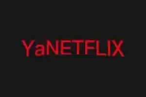 国内免费Netflix影视网站:鸭奈飞影视-Jay的部落