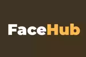 在线智能图片视频换脸工具-FaceHub-Jay的部落