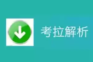 抖音、快手短视频解析去水印-考拉解析-Jay的部落