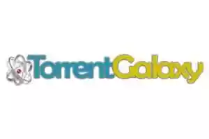 BT种子磁力搜索工具 – TorrentGalaxy-Jay的部落