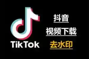 在线TikTok 抖音无水印解析下载工具 – ouo工具-Jay的部落