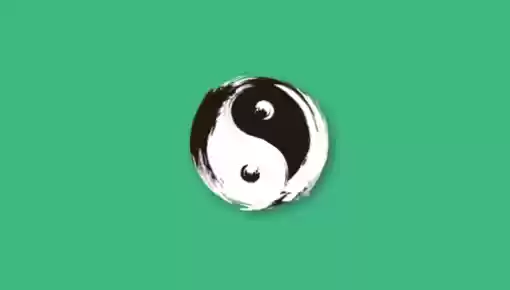 太·极(多功能合集) 绿色版-Jay的部落