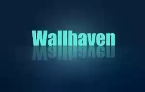 Magic Wallpaper-自动轮播wallhaven图片/视频壁纸程序 - Jay的部落-Jay的部落